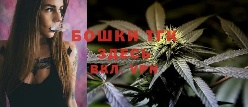 Канабис OG Kush  Данков 